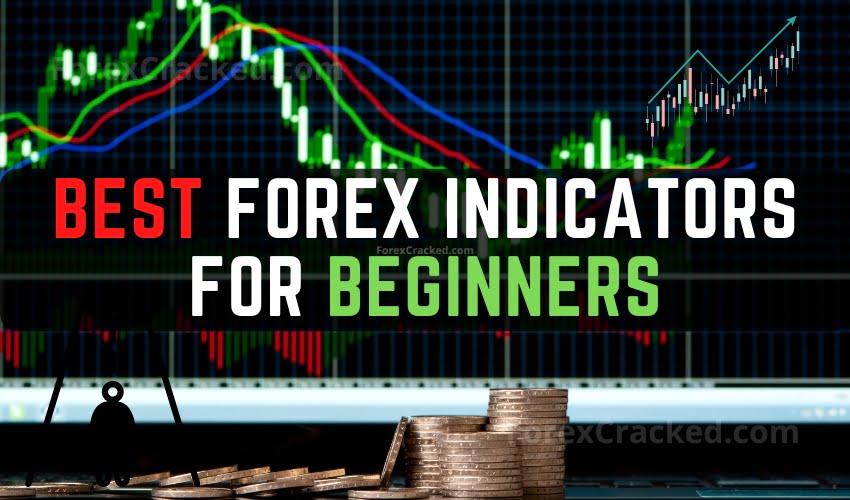 Best Forex Telegram Channel - Free Forex Signals