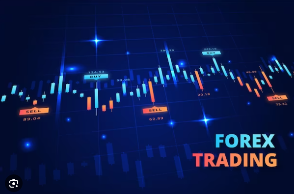 We Review the Best Forex Signals for Trading in 2024